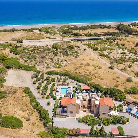 Alnika Acacia By Willa *