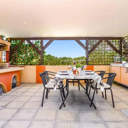 Alnika Acacia By Lakhania